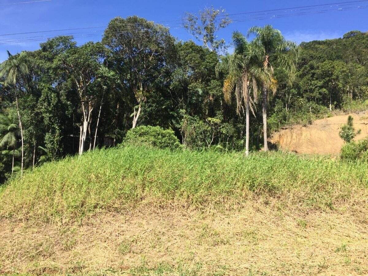 Terreno à venda no bairro Centro: 